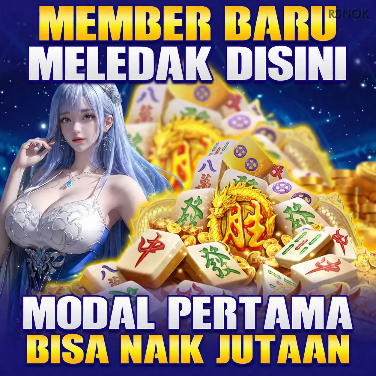 rsnok